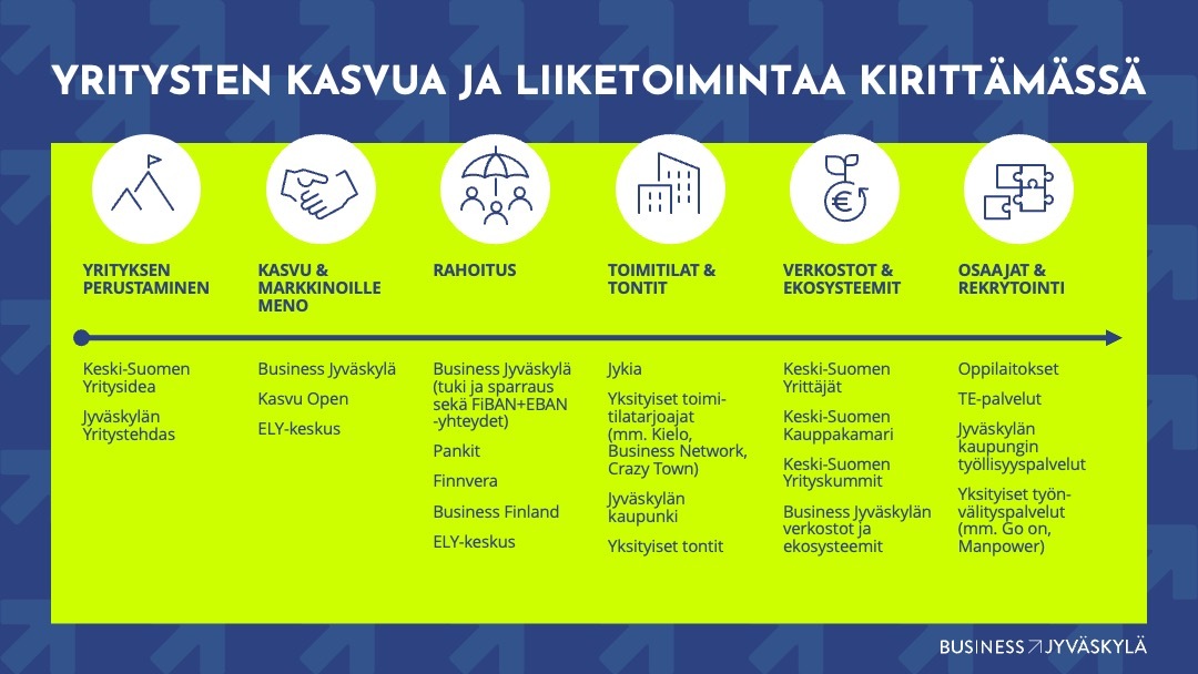 Business Jyväskylän verkostot havainnollistettuna graafiin, kuva